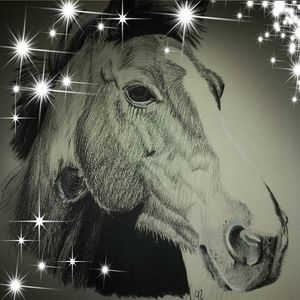 Meet your Posher, Joann